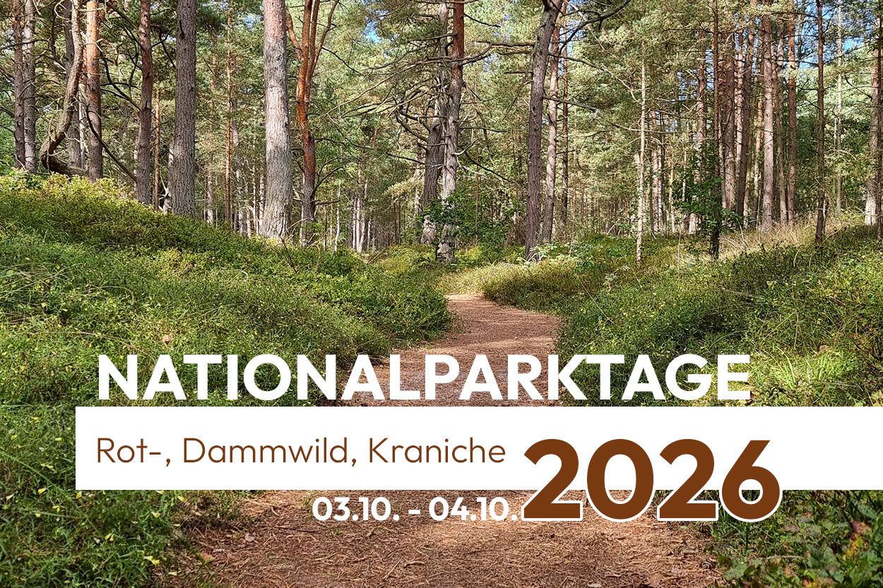 Nationalpark Vorpommersche Boddenlandschaft