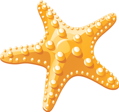 Seestern das Logo des Amrum Appartement Centrum Ferienwohnungen auf der Nordseeinsel Amrum