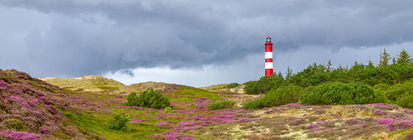 Der Amrumer Leuchtturm. Das Wahrzeichen der Insel mitten in den Dünen von Wittdün auf Amrum