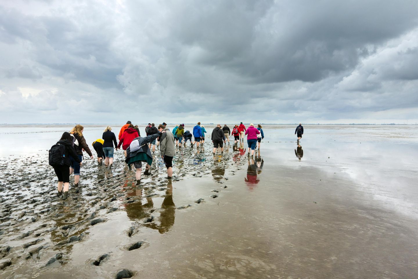 Gruppe Wattwanderer im Wattenmeer vor der Insel Amrum
