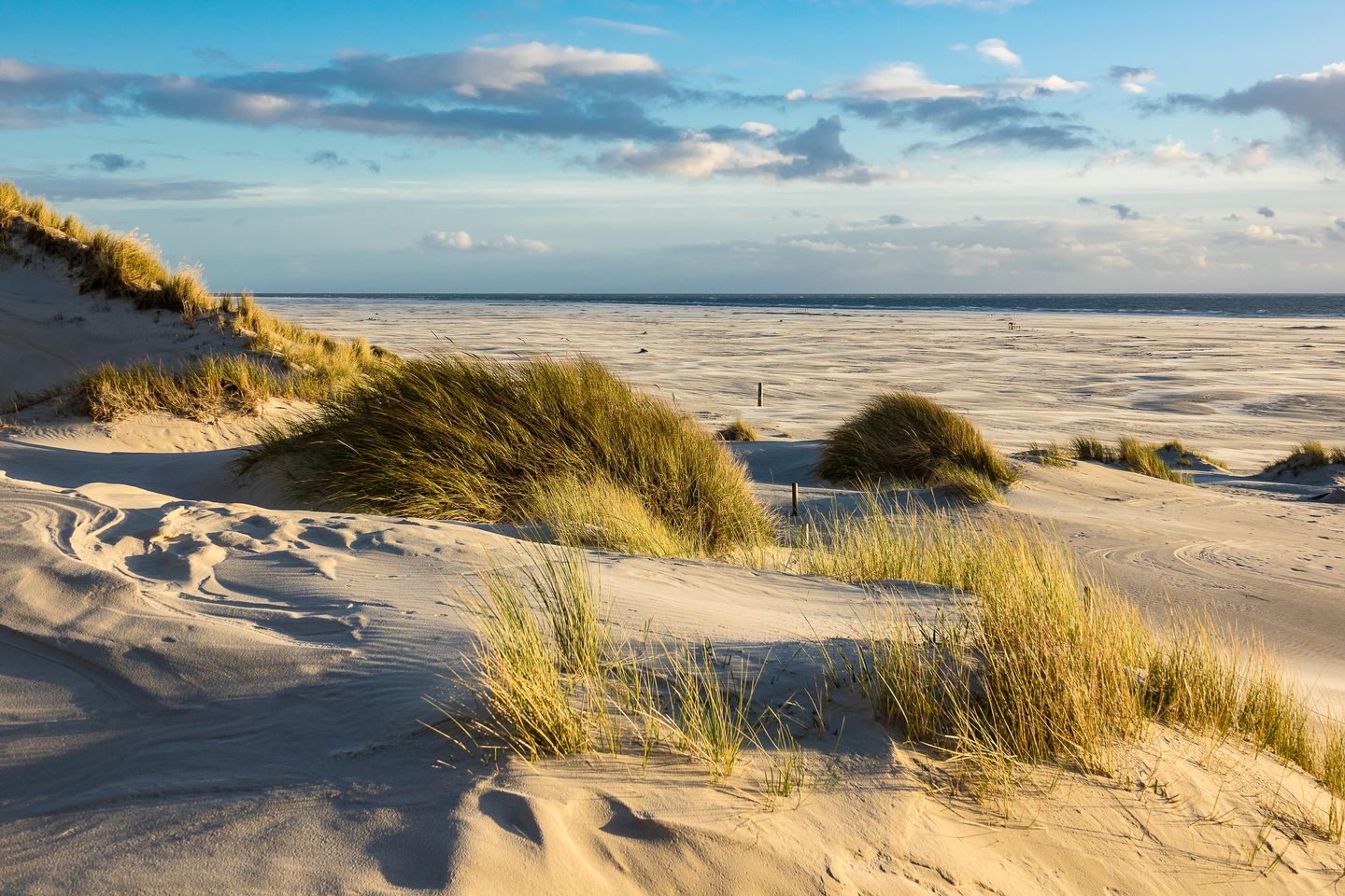 Der Amrumer Kniepsand im Herbst