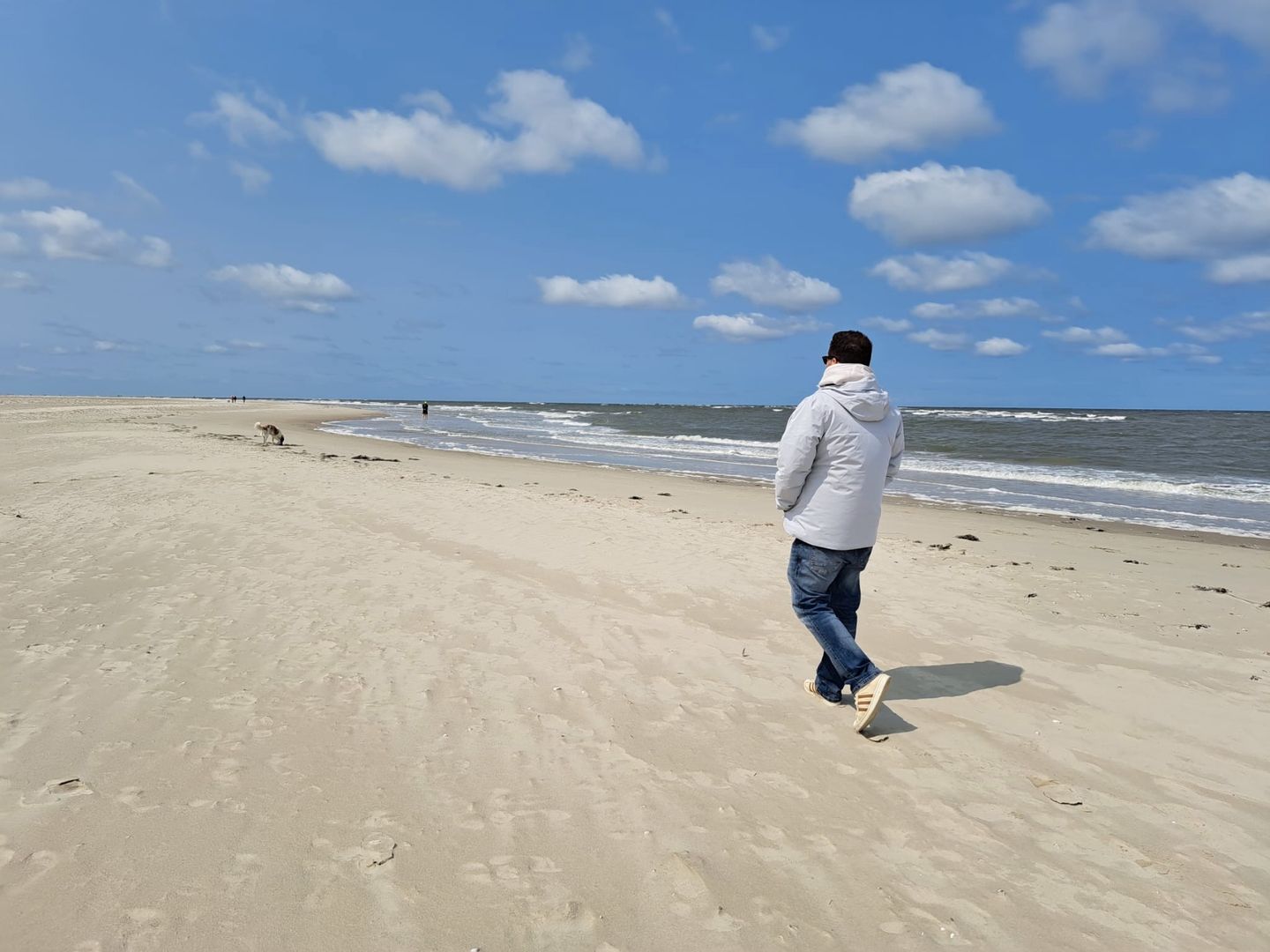 Single am weiten Kniepsand, dem Strand der Nordseeinsel Amrum. Im Hintergrund die Nordsee