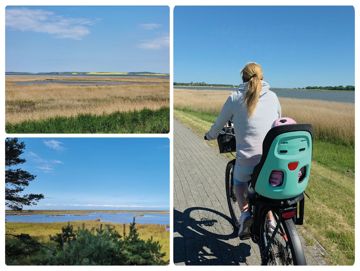Fahrradtouren zwischen Ostsee und Bodden