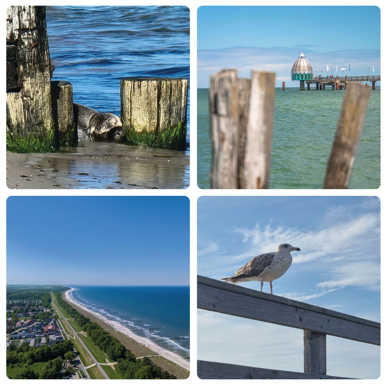 Ostseestrand in Zingst