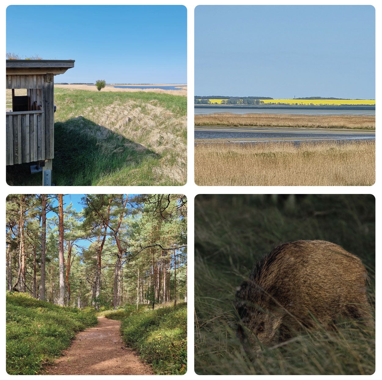 Pramort und Nationalpark Vorpommersche Boddenlandschaft