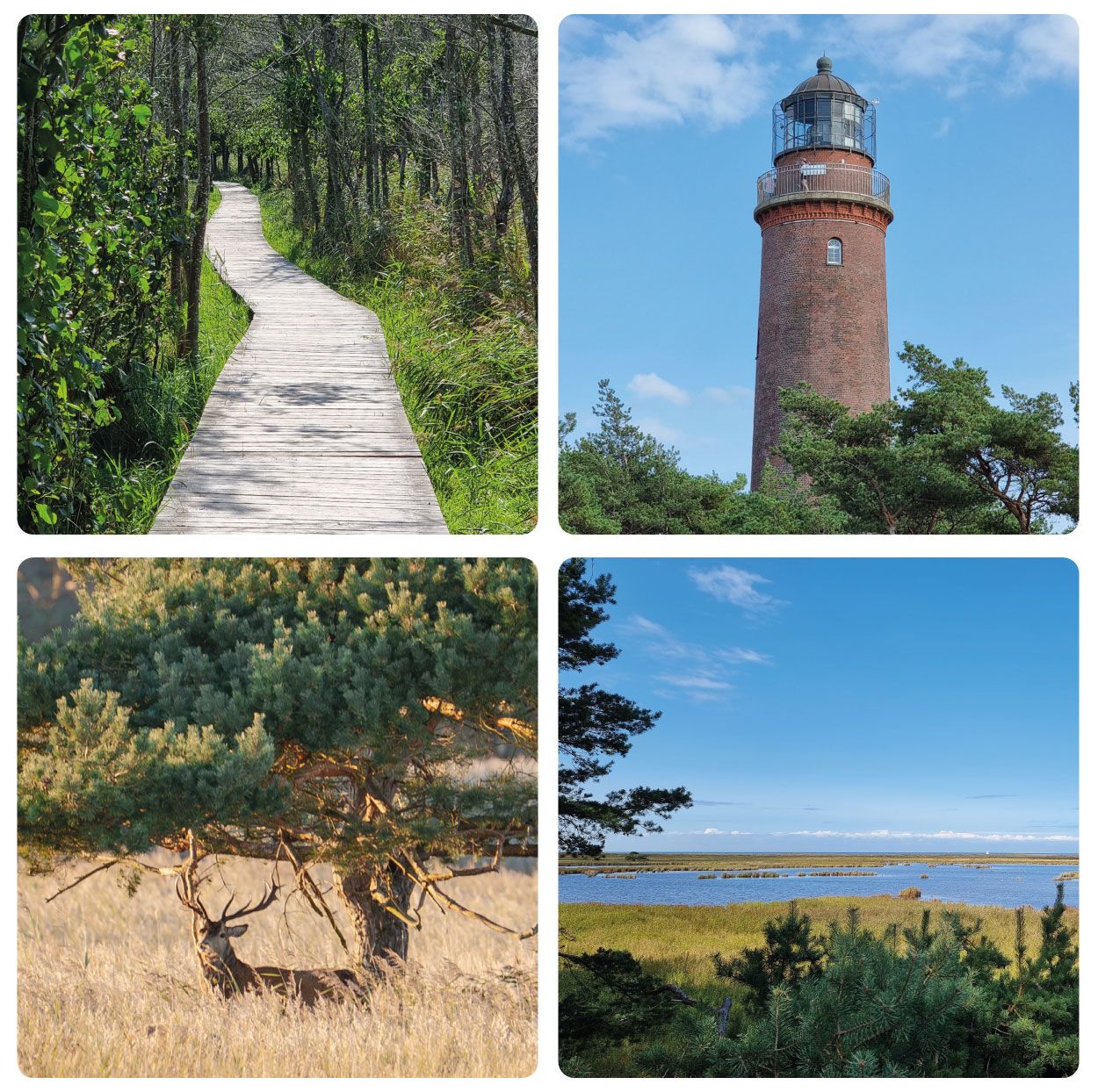 Darßer Ort, Leuchtturm, Weststrand und Darßwald