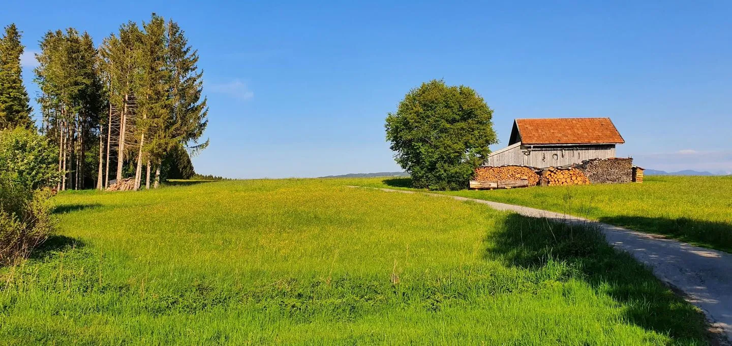 Feriendorf Hochbergle Haus 142 - Lechseeblick Lechbruck am See - Landschaft