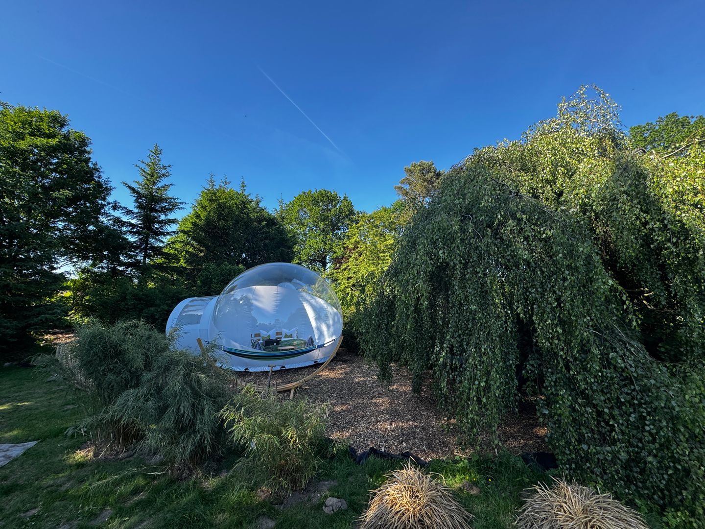  Bubbletent Sternenblick Hamburg Nord-Ost - 