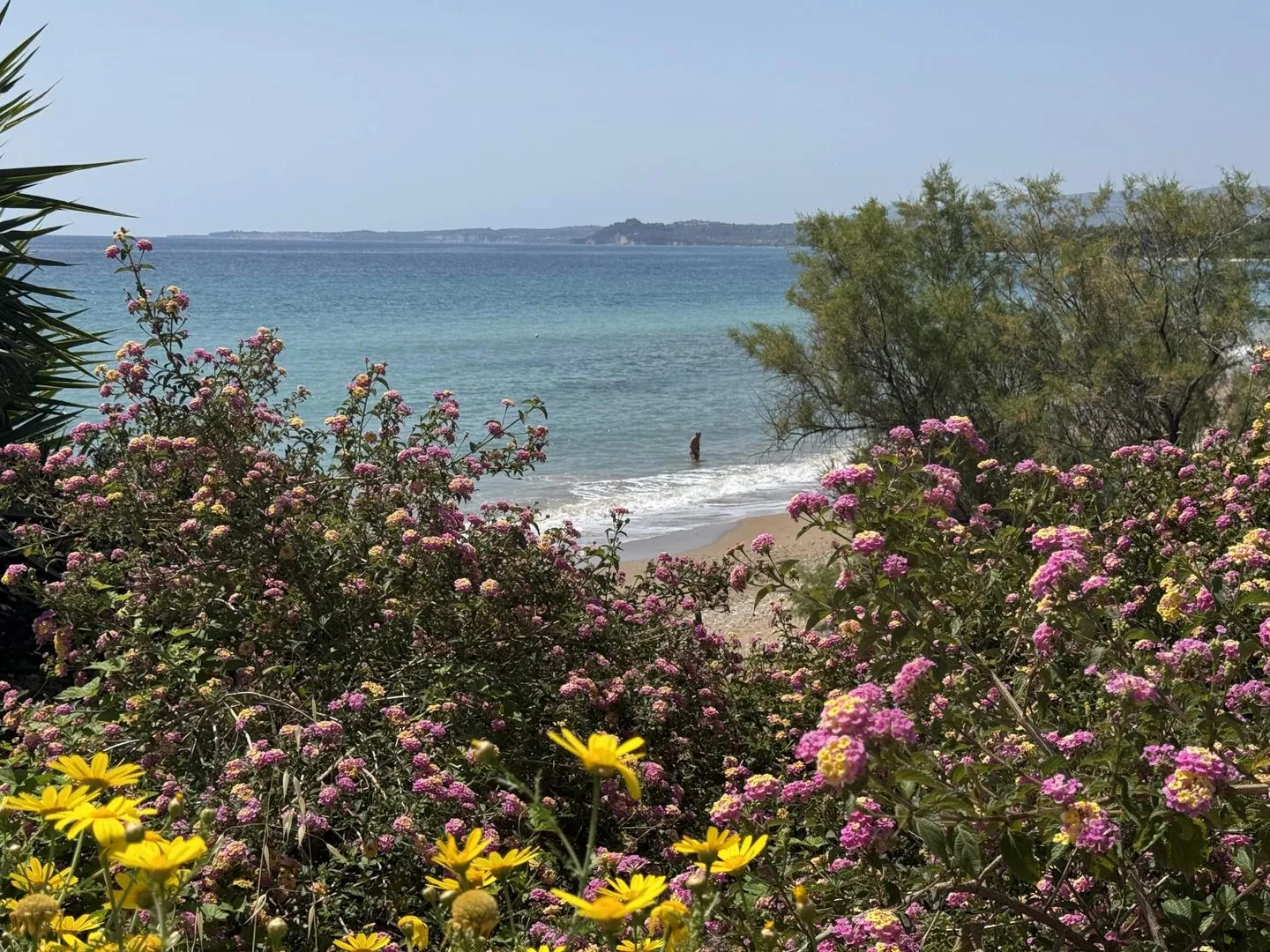  Stone Bay Houses 1 Chelonaria - Beach