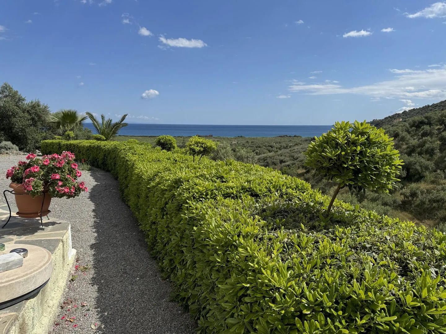  Konstantinos Valtaki - Garden