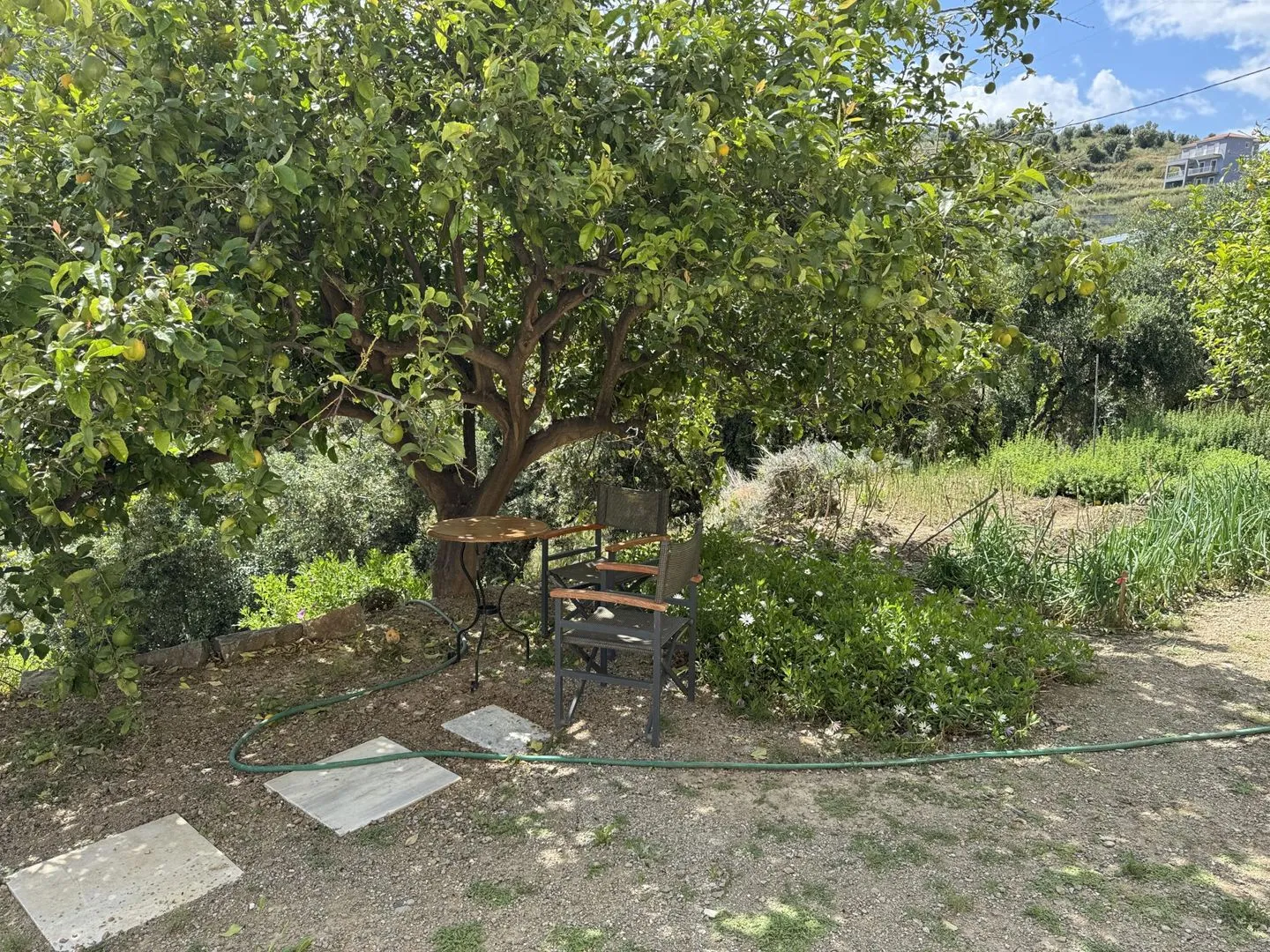 Konstantinos Valtaki - Garden