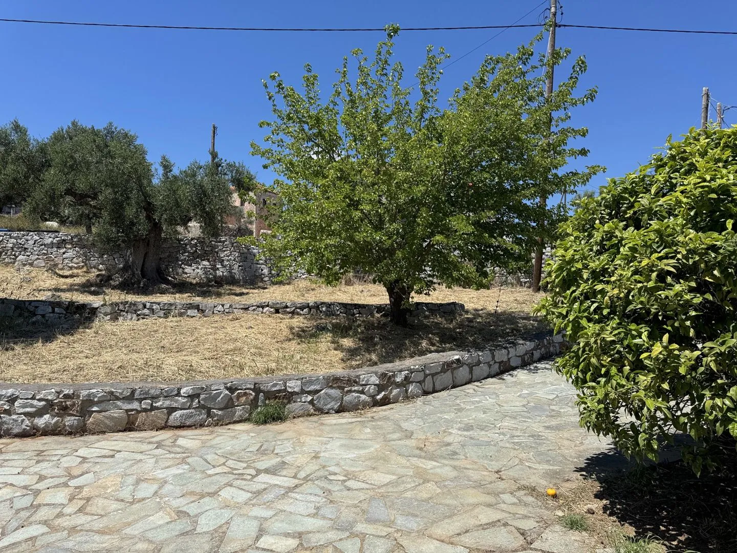  Ageranos Vathy - 