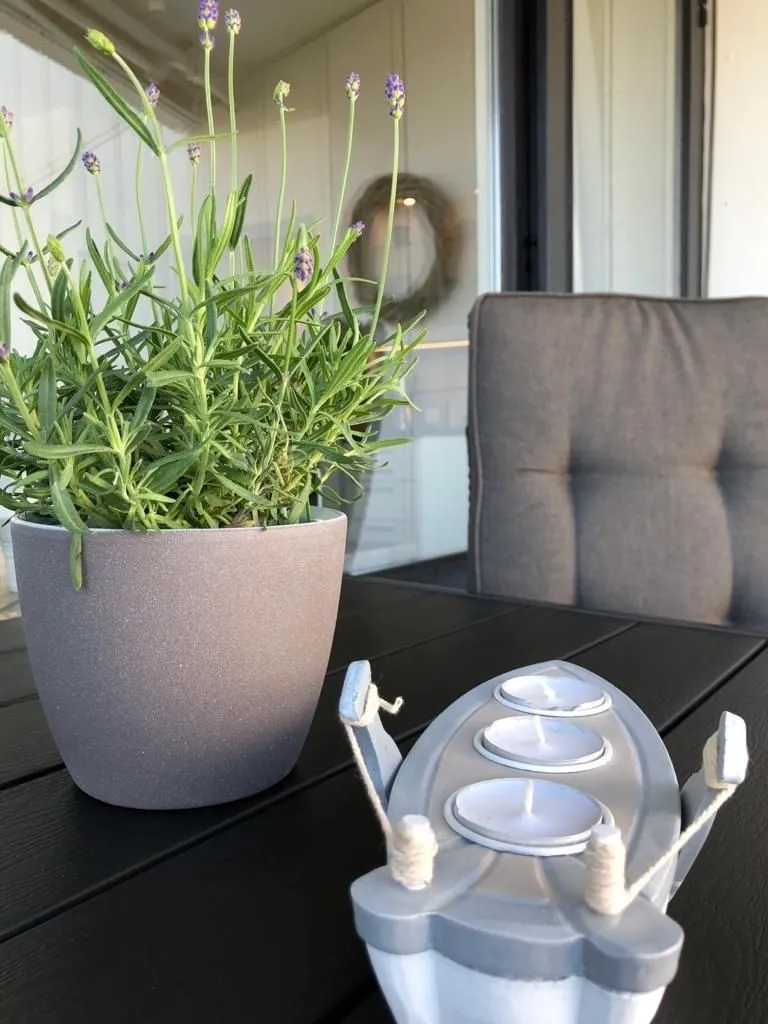 Prinzenhof Whg. 21 -