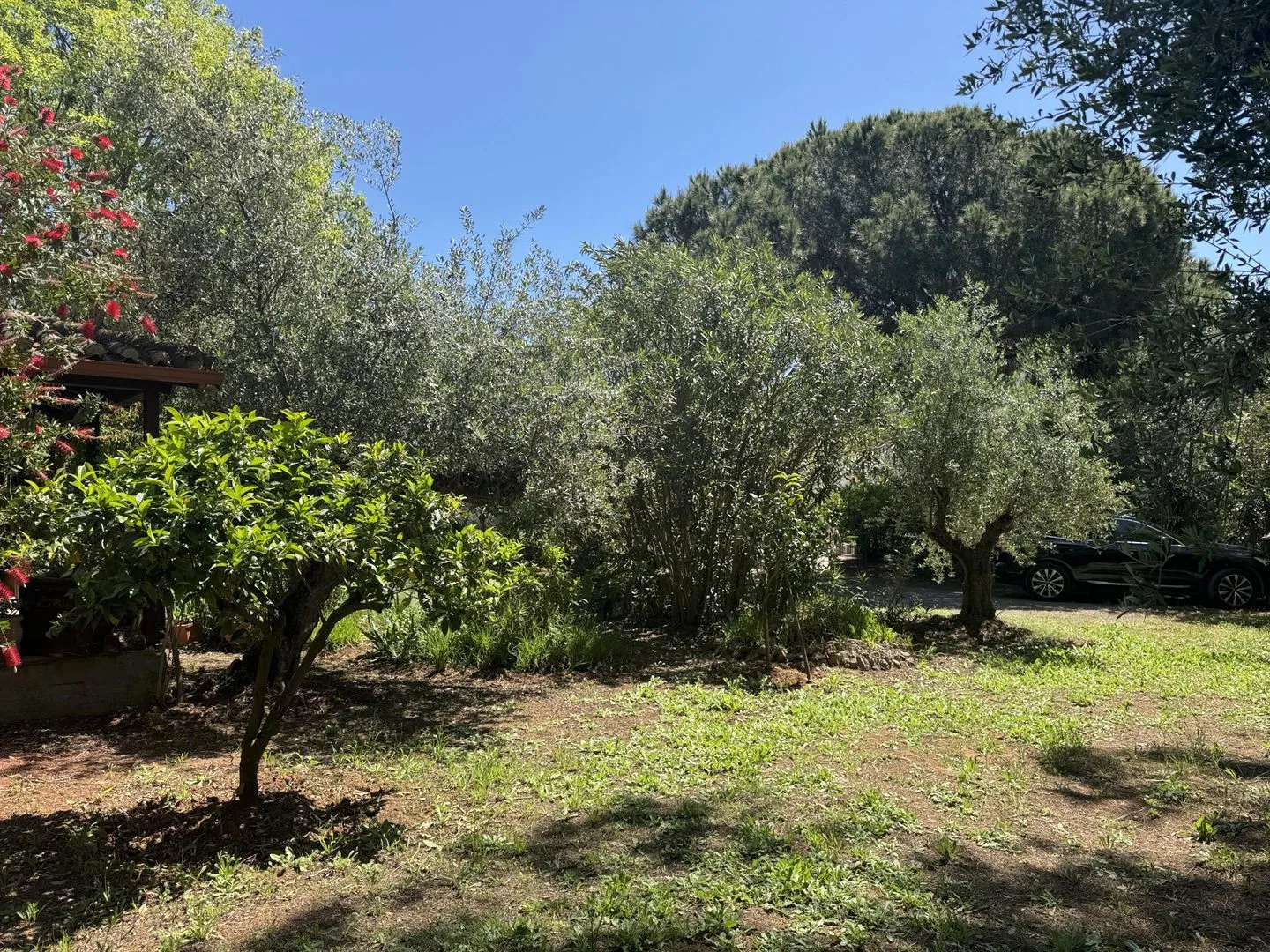  Spiti Nicola Stoupa - Garden