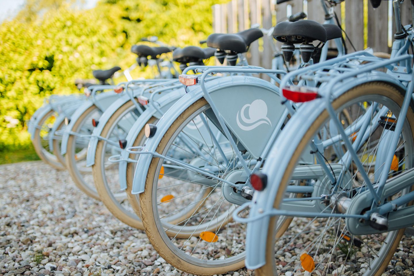 Fahrrad fahren auf dem Fischland-Darß-Zingst