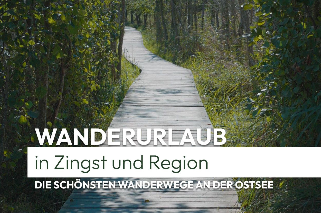 Wanderurlaub in Zingst und Region