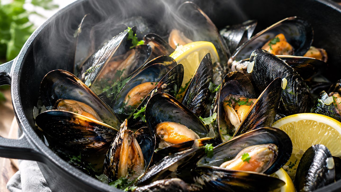 Miesmuscheln an den Amrumer Muscheltagen