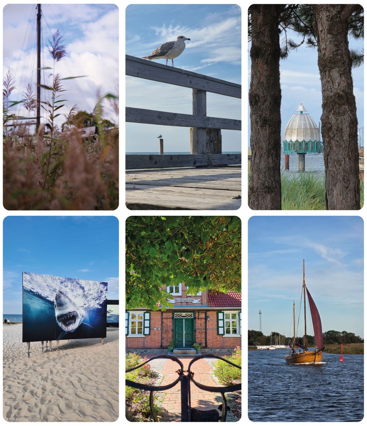 Umweltfotofestival Horizonte Zingst