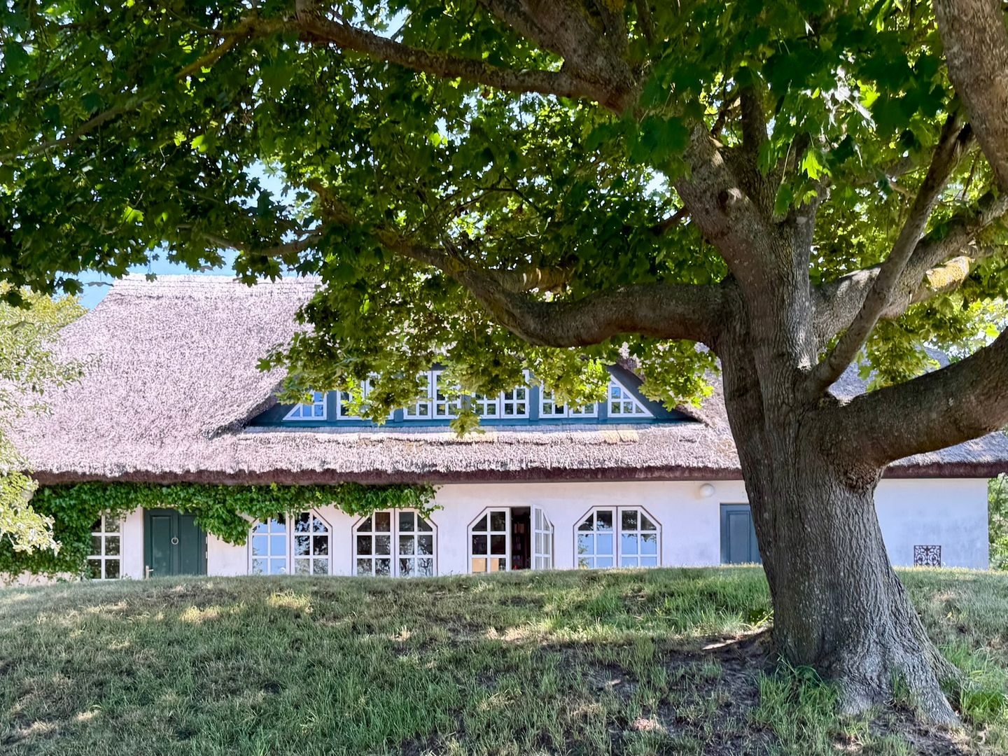  Anna Hucke - Steilküste Kloster - 