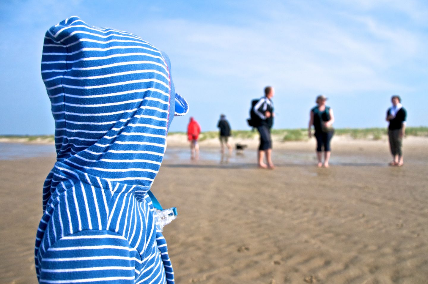 Wattwanderung auf Amrum: Der Meeresboden zu Fuß