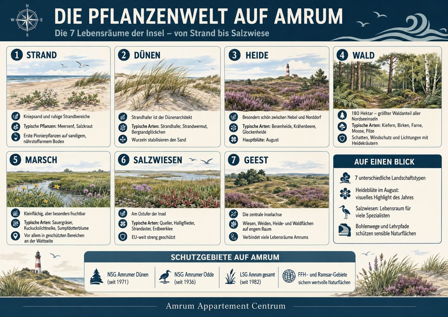 Die Pflanzenwelt auf Amrum