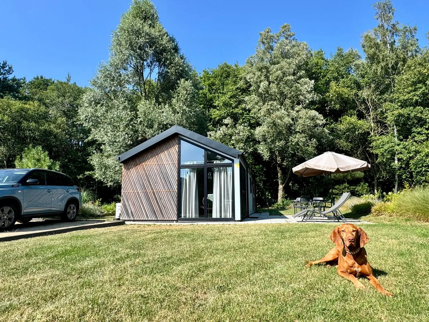  EuroParcs Maasduinen Chalet am Waldrand mit Airco, Hunde willkommen Nr. 312