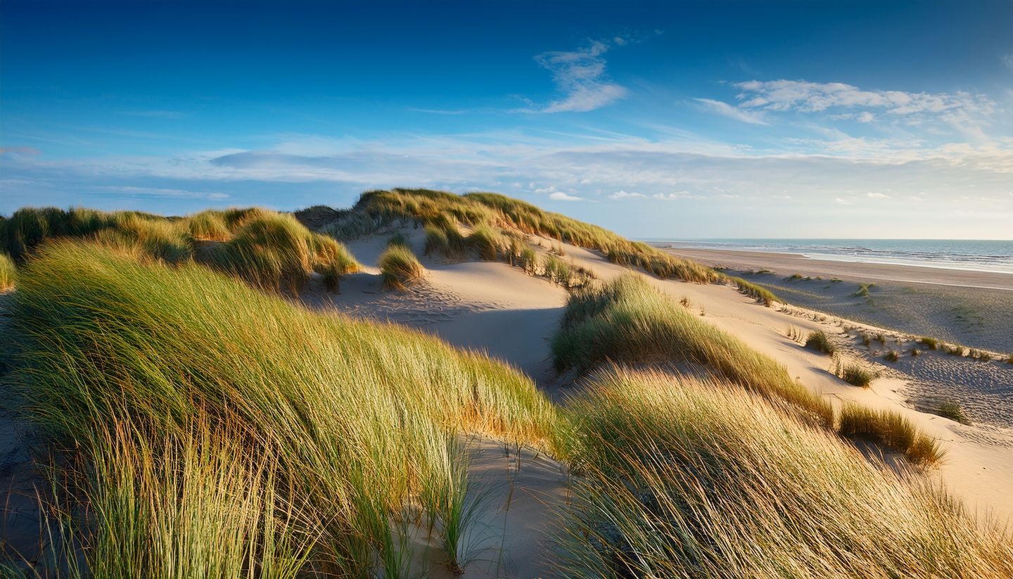 Coolcation auf Amrum: Sommerurlaub ohne Hitzestress