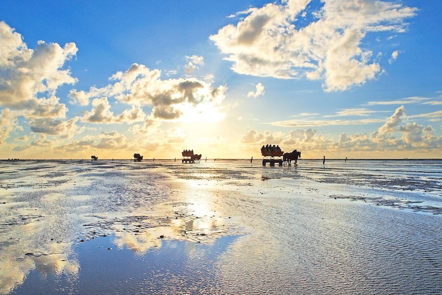 Pferdefuhrwerk auf dem Wattweg von Cuxhaven-Duhnen zur Insel Neuwerk