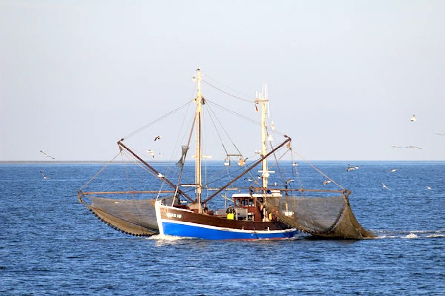 Krabbenkutter in der Elbmündung vor Cuxhaven