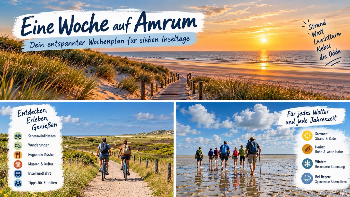 Eine Woche auf Amrum: Ein Plan für sieben Inseltage