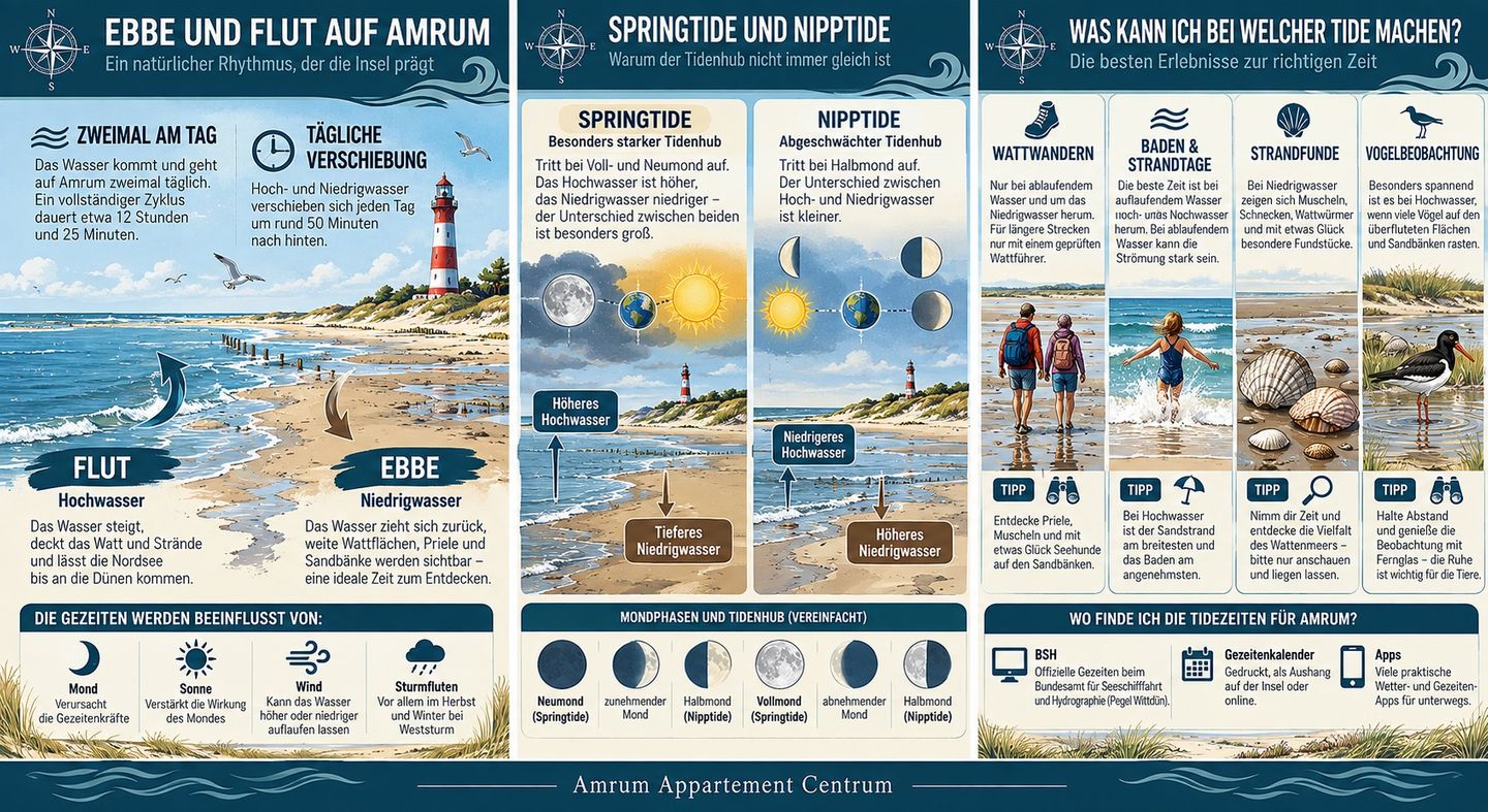 Ebbe und Flut auf Amrum: Gezeiten verstehen und nutzen