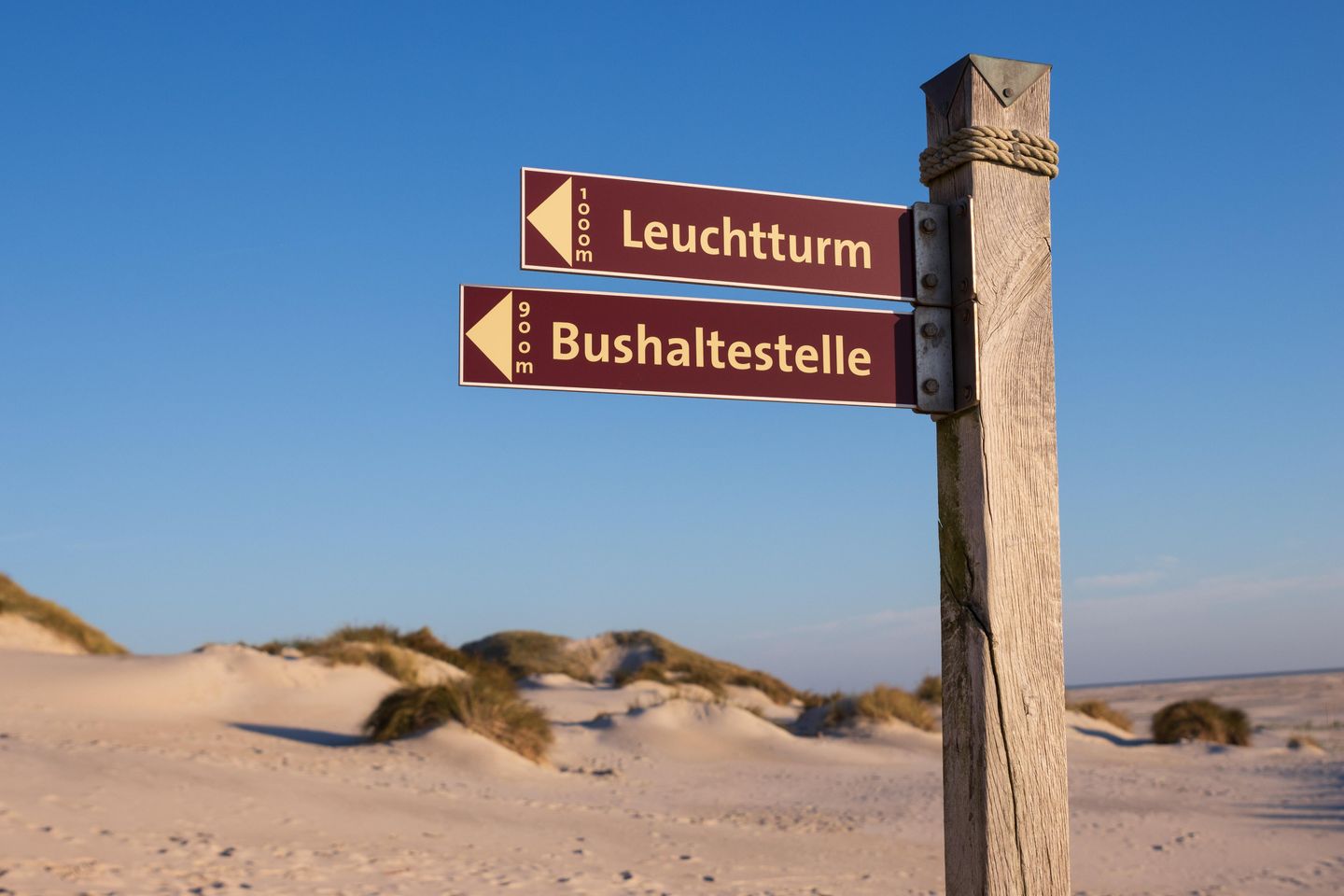 Inselbus Amrum: Strecke, Fahrplan