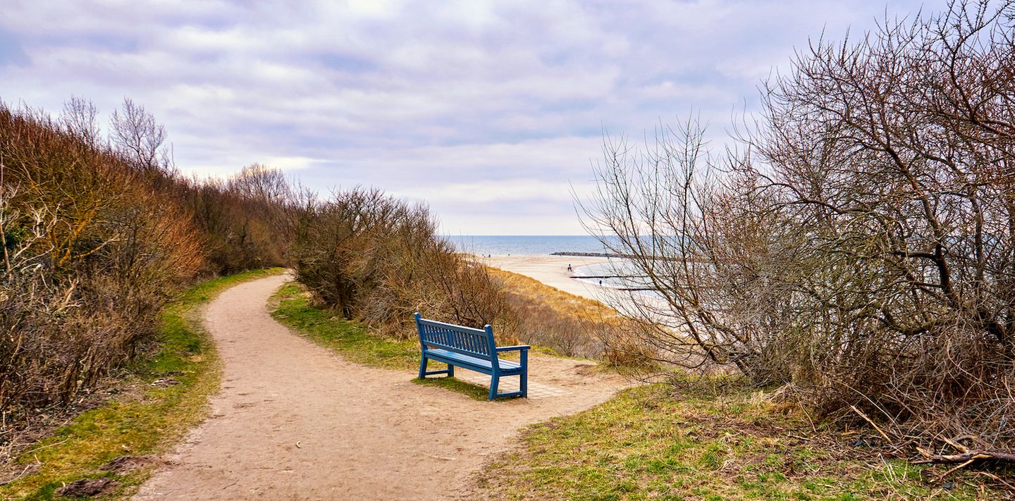 blaue Bank mit Blick auf die Ostsee. im Hintergrund Sträucher im Herbst ohne Blätter, bewölkter Himmel