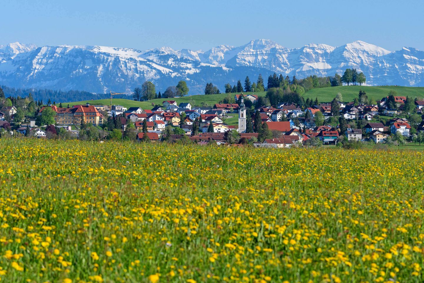 Ferienwohnung oder Ferienhaus am Bodensee