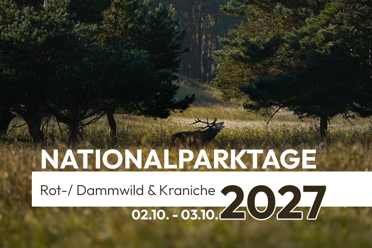 Nationalpark Vorpommersche Boddenlandschaft