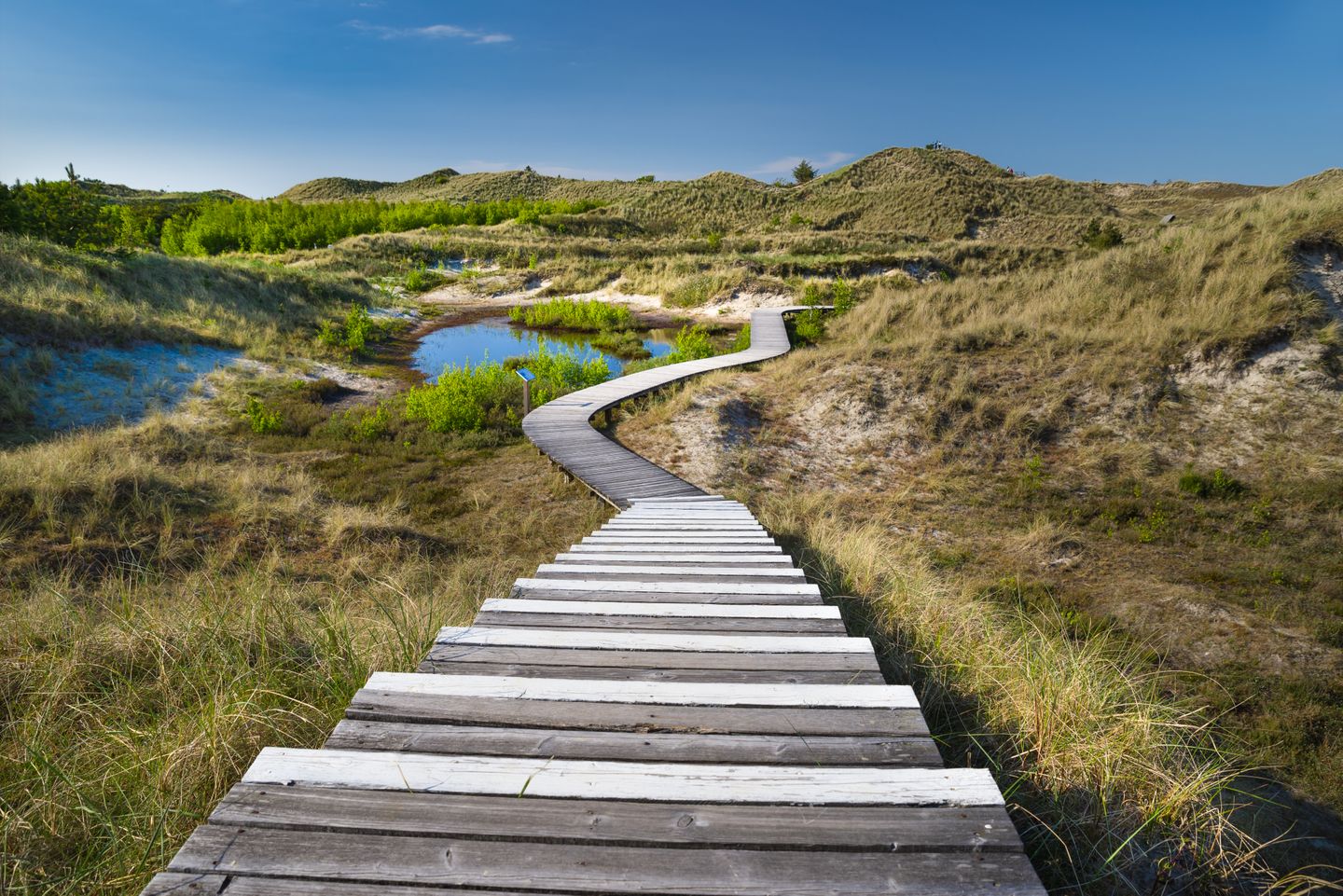 Bohlenwege auf Amrum
