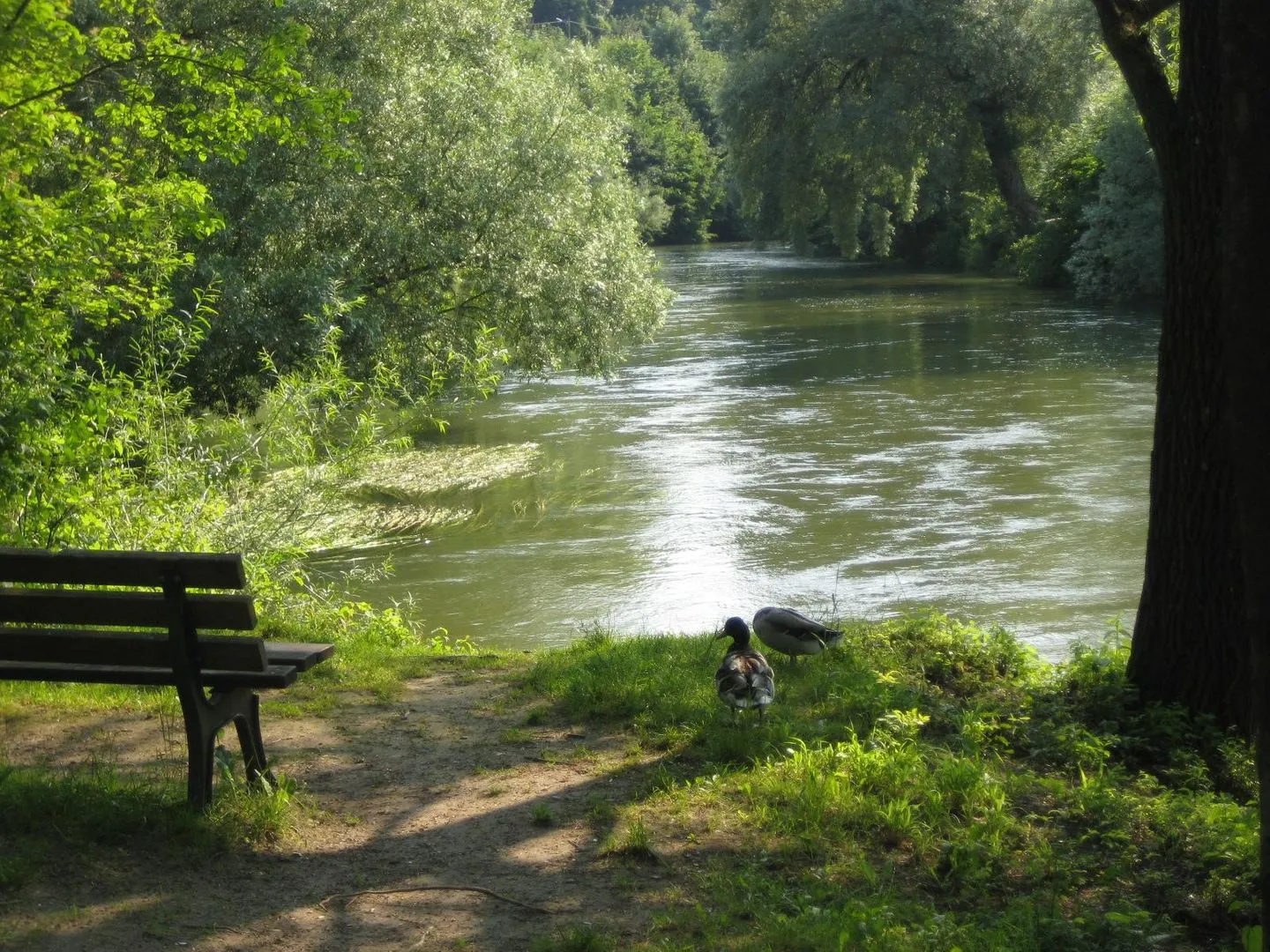 Ferienwohnung "Ampermoos" Grafrath - Landschaft
