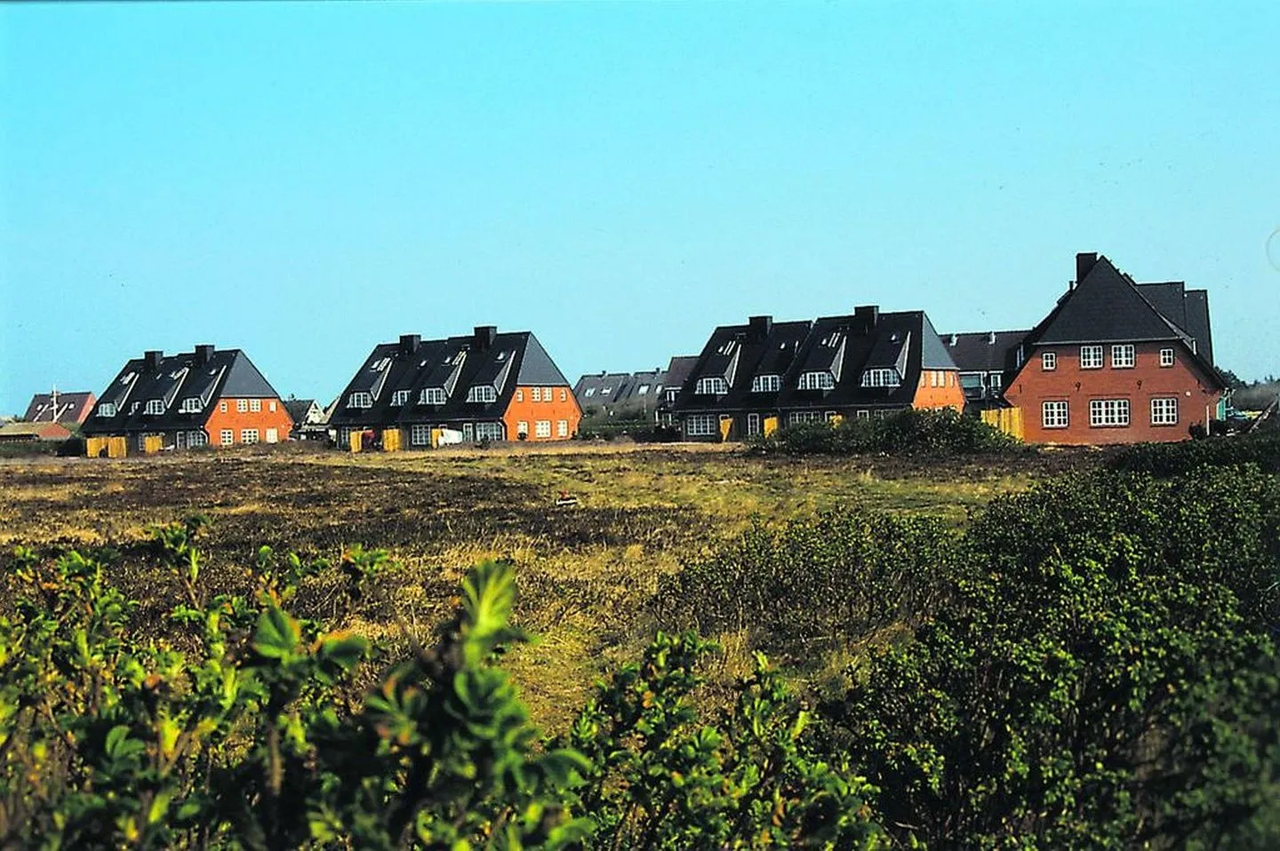 Am Heidepark, App. 5 C Wenningstedt - Nachbarschaft