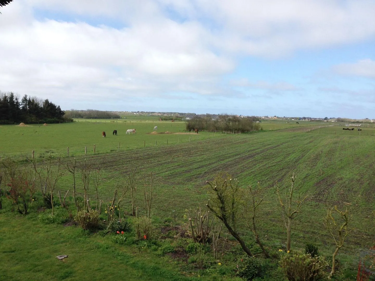 LH Westermüür, Hausteil 1 Braderup - Landschaft