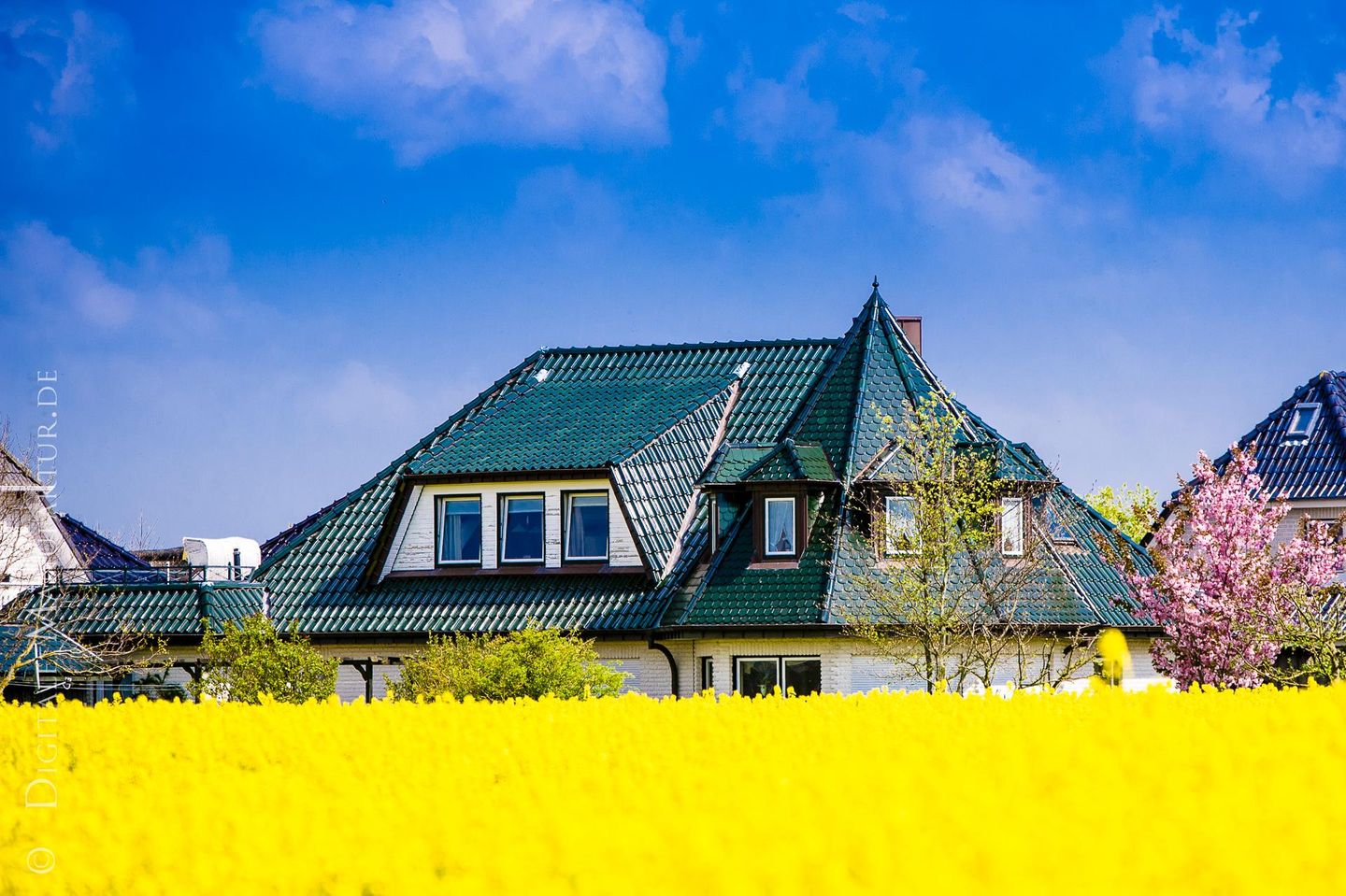 Haus Landblick Whg Balkonzimmer - Büsum/Nordsee
