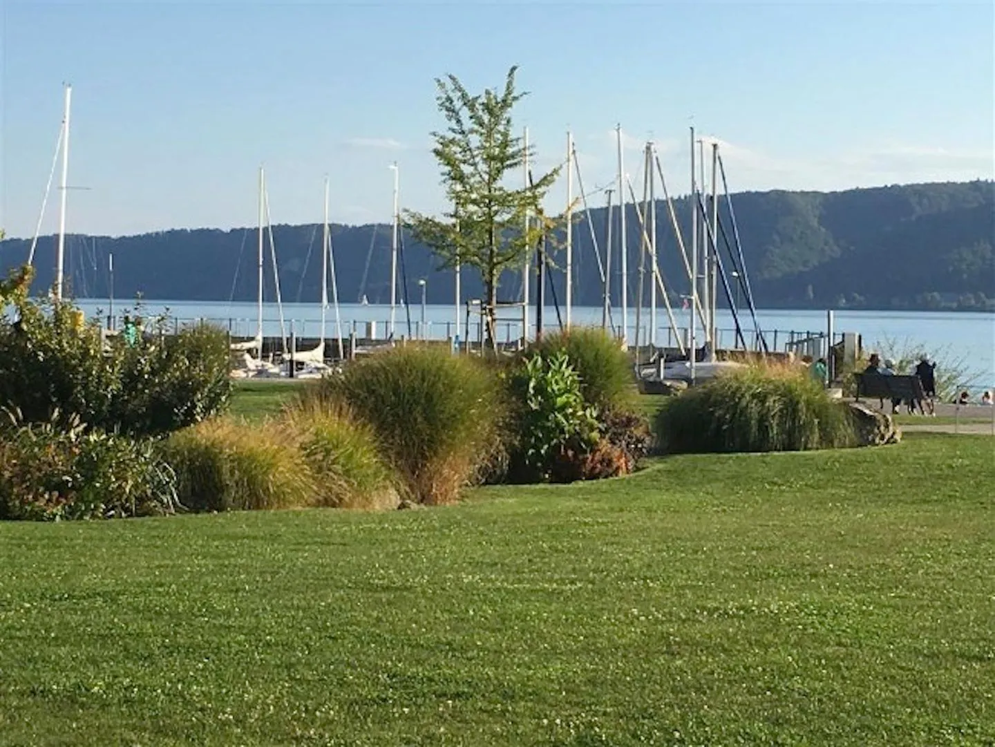 Carpe Diem Bodman-Ludwigshafen -