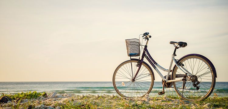 Fahrrad auf der Düne
