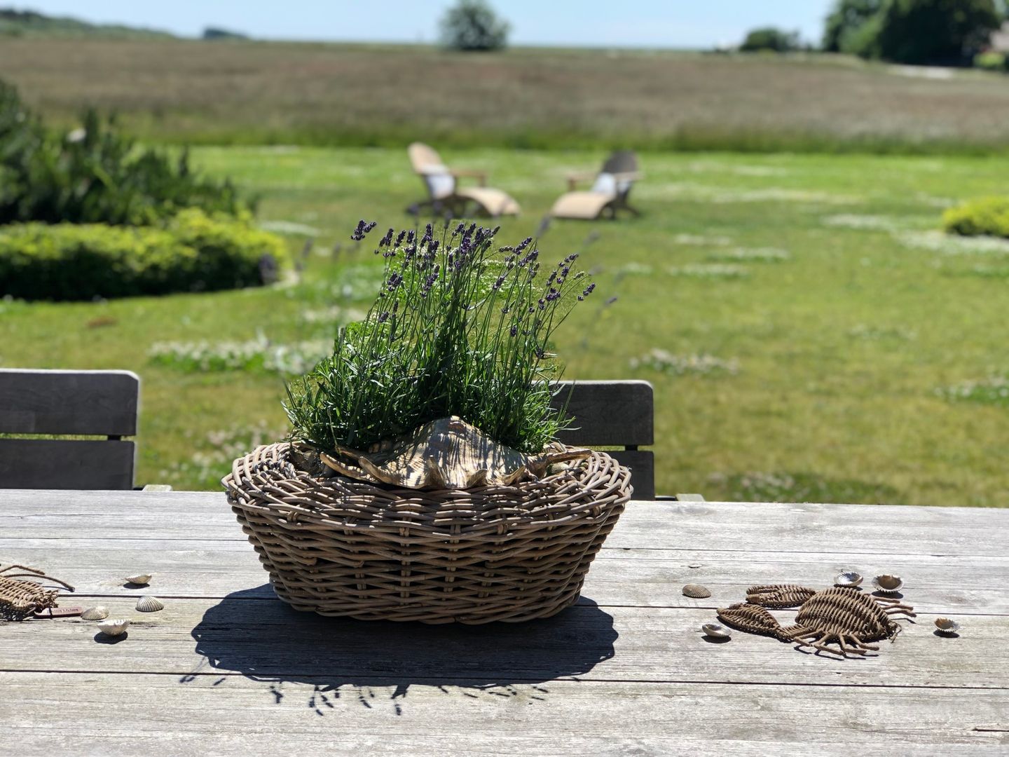  LITZKOW 16705 Archsum - 