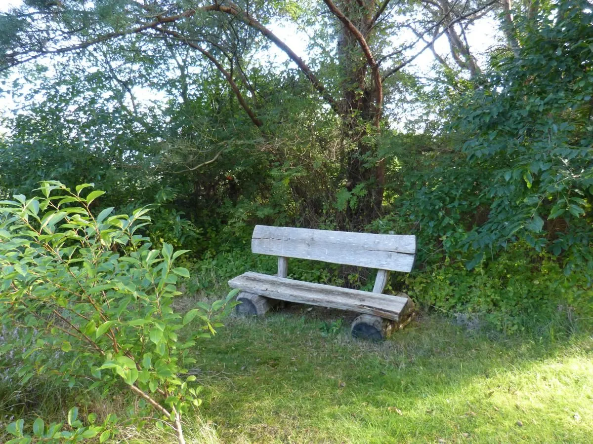 Haus Troeltsch Ferienwohnung „Bi Elschen" Nebel auf Amrum - Bank im Garten der Ferienwohnung Bi Elschen in Nebel auf Amrum