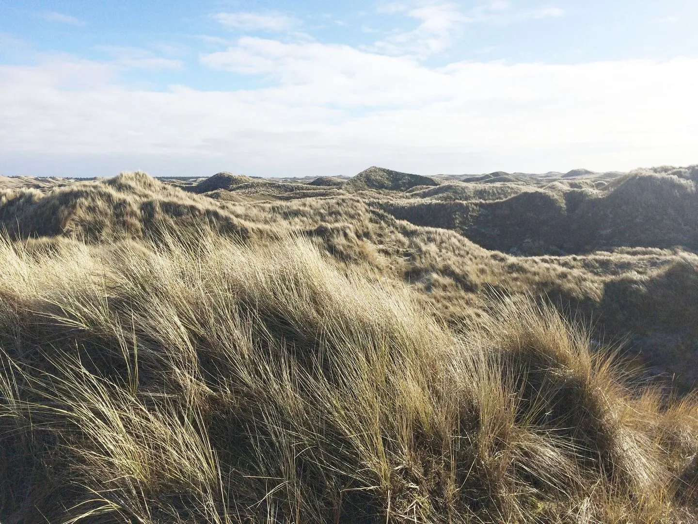 Ferienwohnung *Meeresleuchten* Wittdün auf Amrum - Dünen auf der Nordseeinsel Amrum