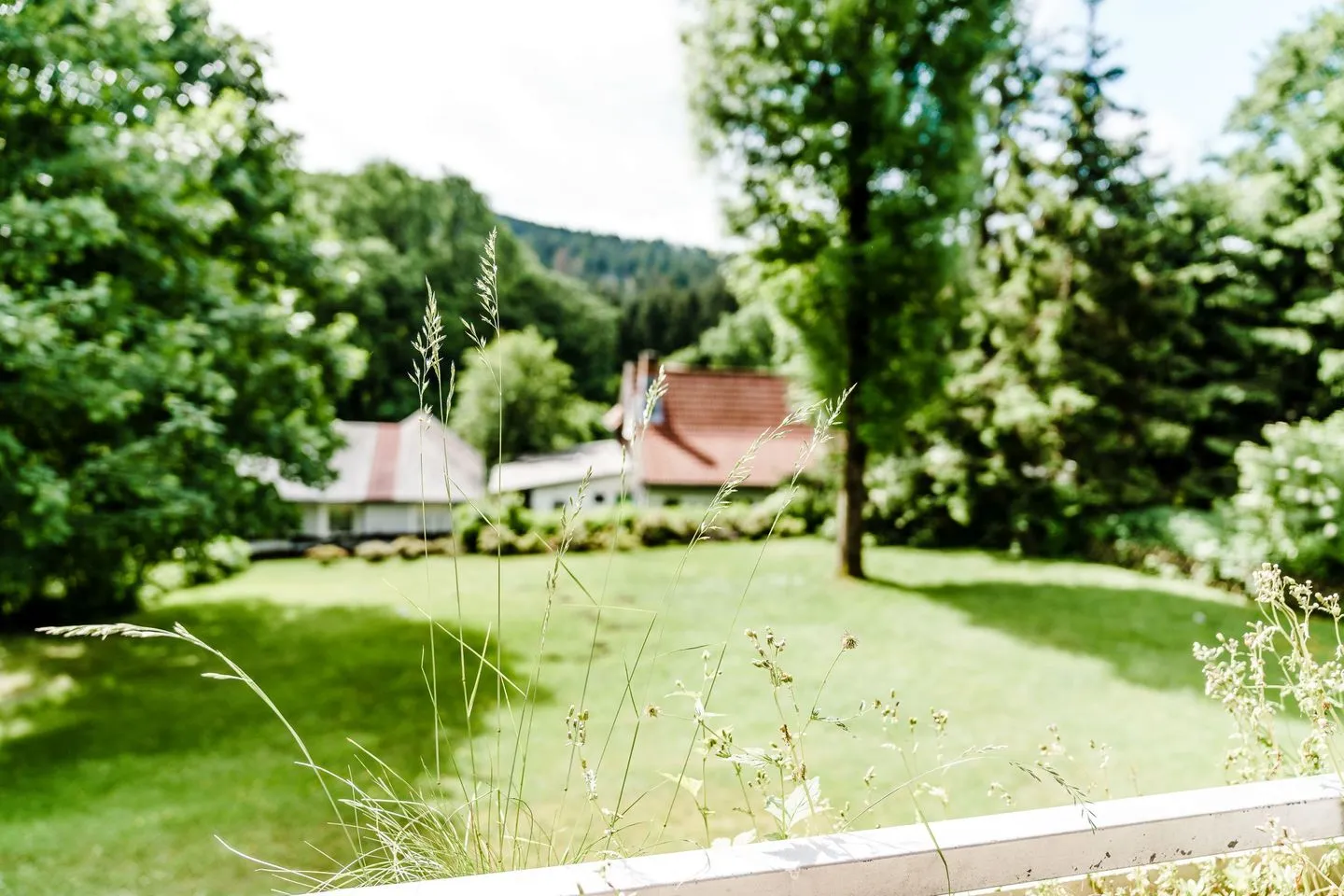 Bocksbergblick Fewo BB 02 Hahnenklee -