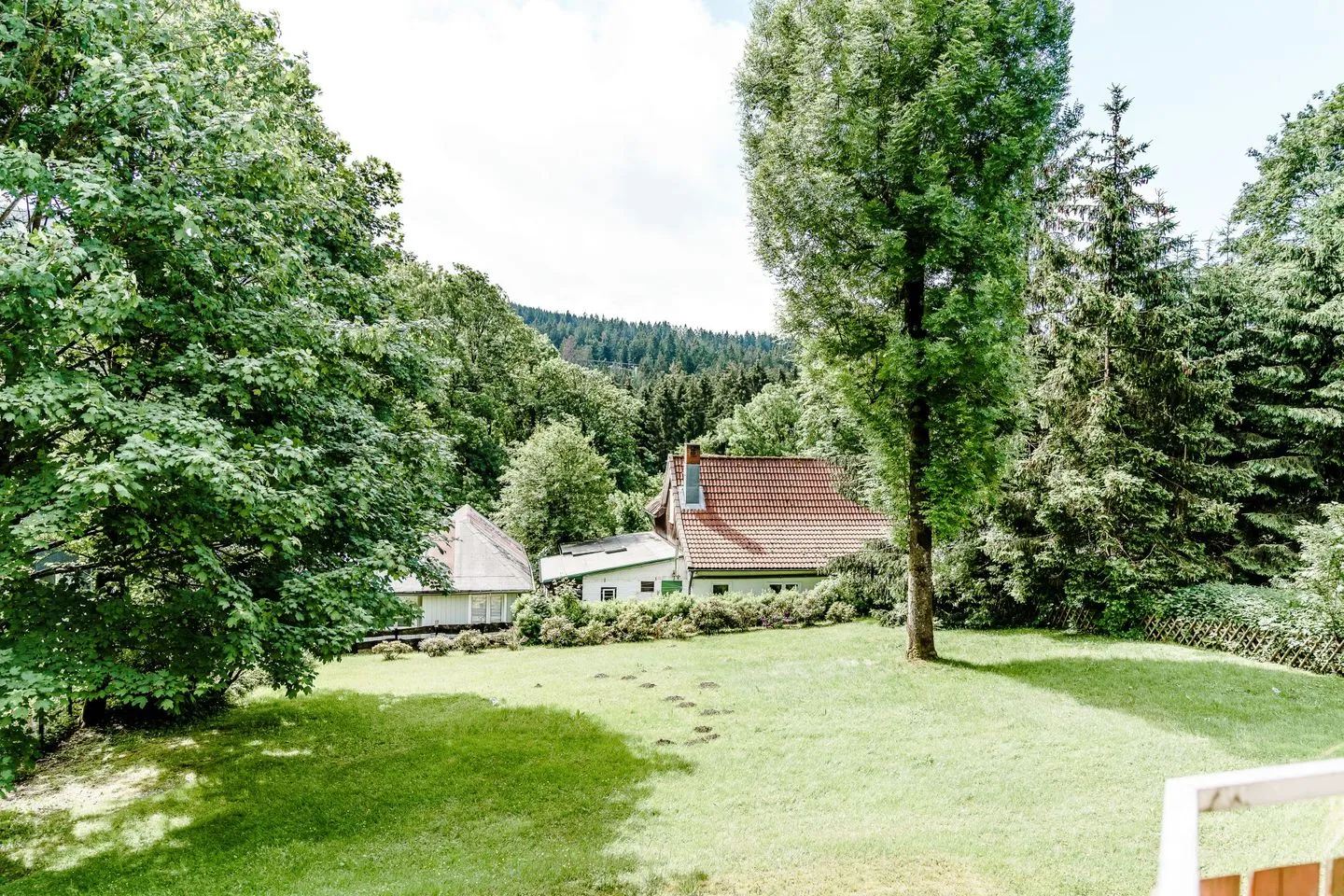 Bocksbergblick Fewo BB 02 Hahnenklee -