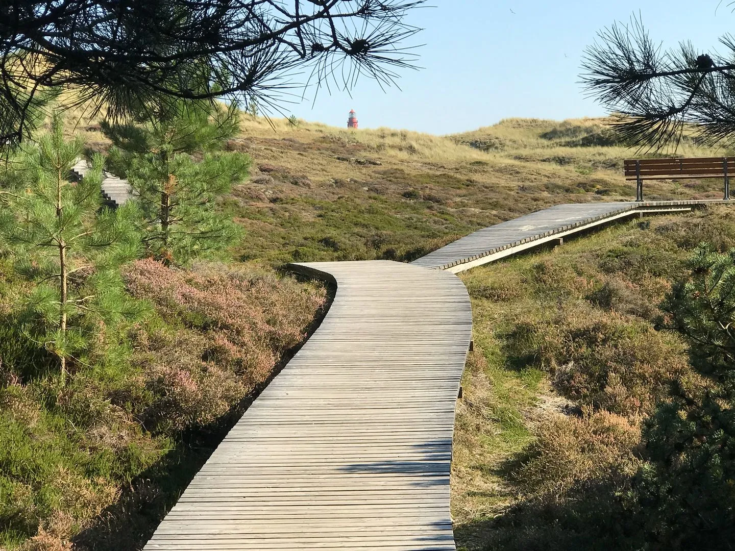 Haus *Weiße Düne* Ferienwohnung *Weiße Düne 3 / OceanView* Wittdün auf Amrum - Bohlenweg durch die Dünen Richtung Leuchtturm