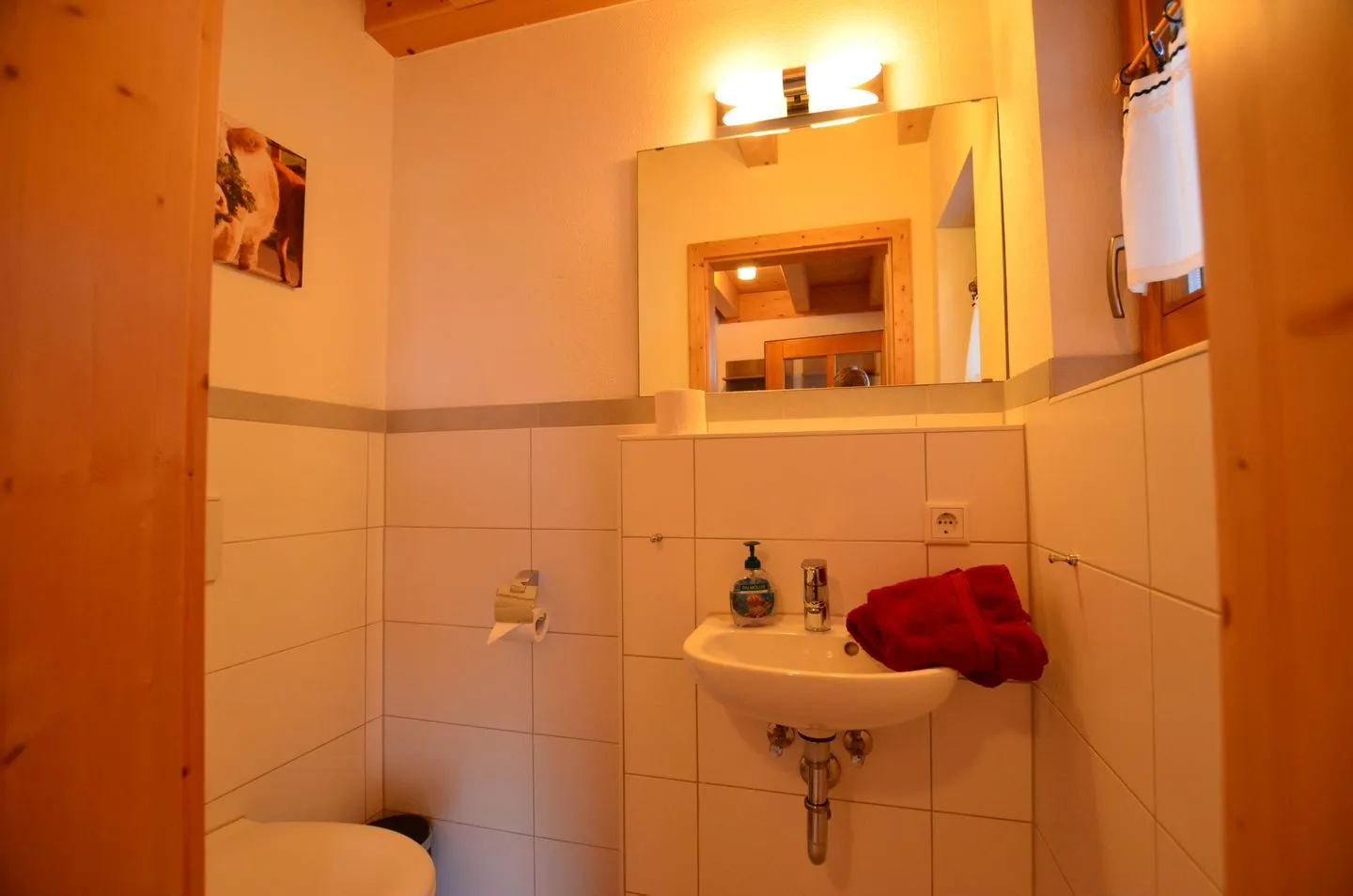 Bunte Kuh - Feriendorf Via Claudia Haus 52 Lechbruck am See - Gäste-WC