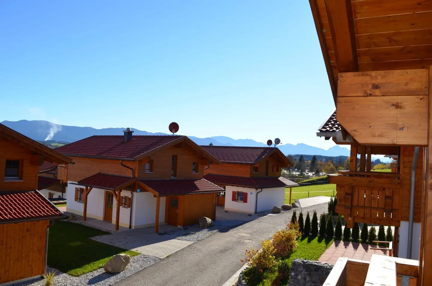 Bunte Kuh - Feriendorf Via Claudia Haus 52 Lechbruck am See - Nachbarschaft